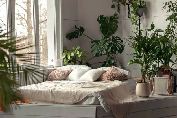 How to make your bedroom more Environmentally Friendly?